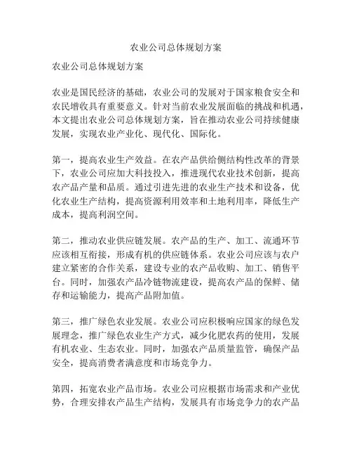 农业公司总体规划方案