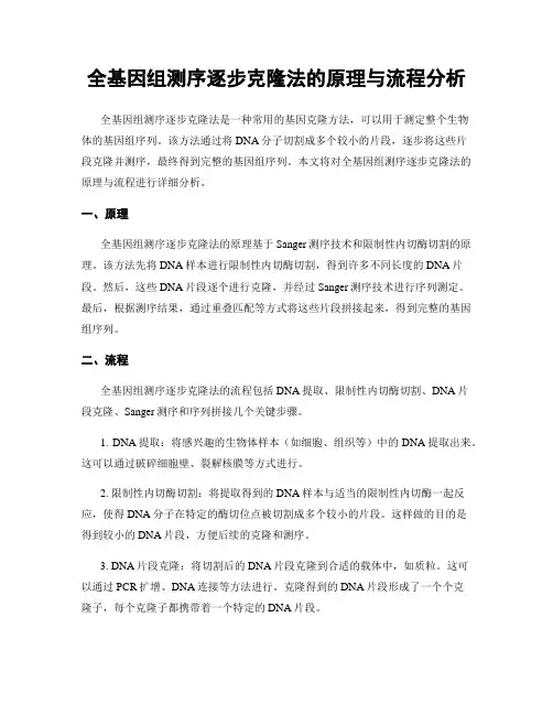 全基因组测序逐步克隆法的原理与流程分析