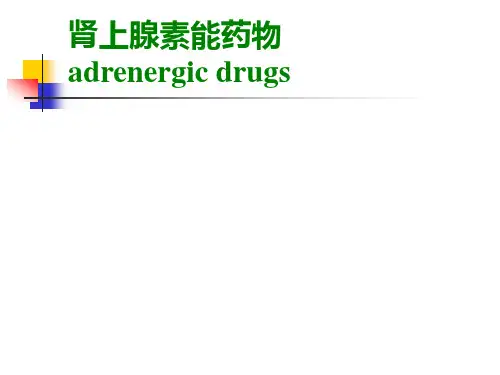 肾上腺素能药物