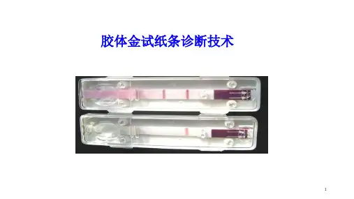 胶体金试纸条检测技术(课堂PPT)