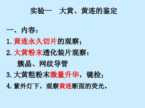 实验大黄黄连鉴定01