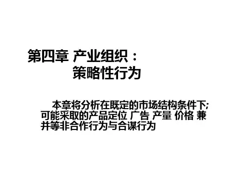 产业组策略性行为
