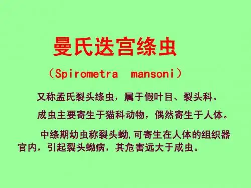 033 曼氏绦虫