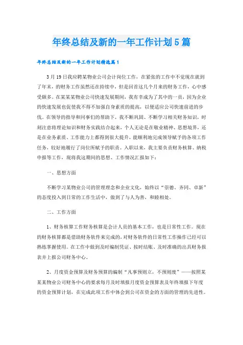 年终总结及新的一年工作计划5篇