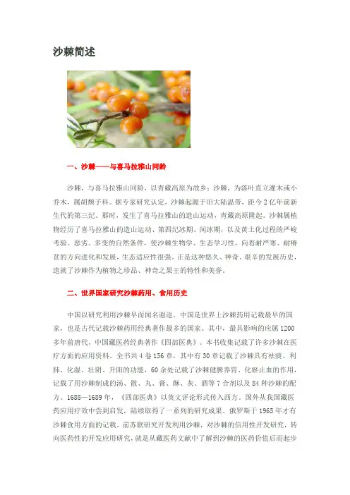 沙棘简述