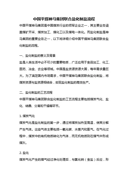 中国平煤神马集团联合盐化制盐流程
