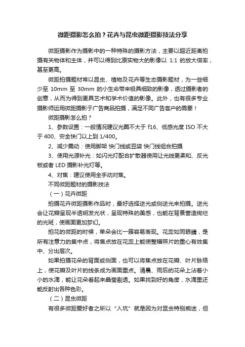 微距摄影怎么拍？花卉与昆虫微距摄影技法分享