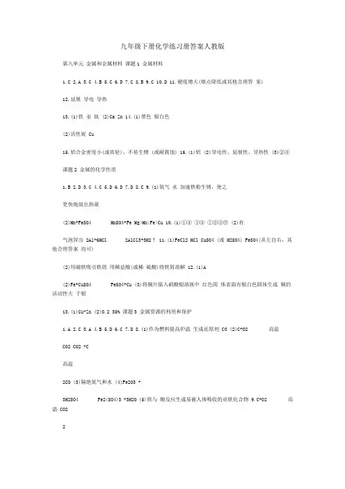 九年级下册化学练习册答案人教版
