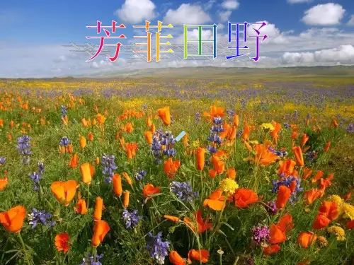 春之声圆舞曲高中音乐人音版选修歌唱课件