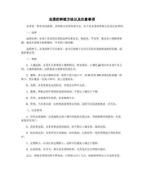 韭菜的种植方法以及注意事项