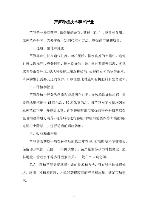 芦笋种植技术和亩产量