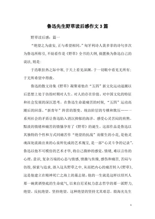 鲁迅先生野草读后感作文3篇