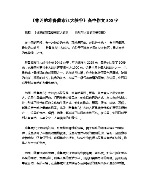 《林芝的雅鲁藏布江大峡谷》高中作文800字