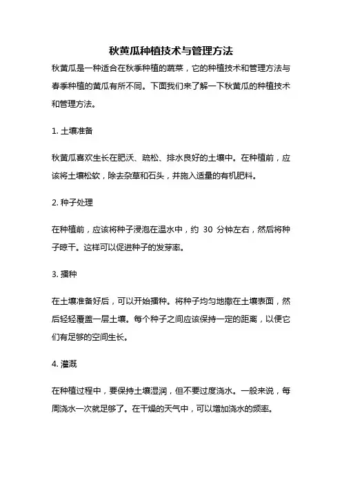 秋黄瓜种植技术与管理方法