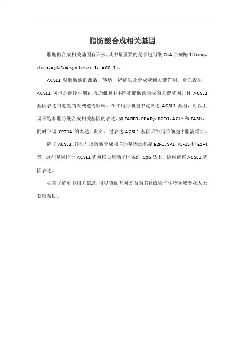脂肪酸合成相关基因