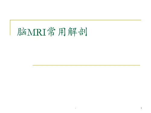 脑MRI常用解剖(局部)课件