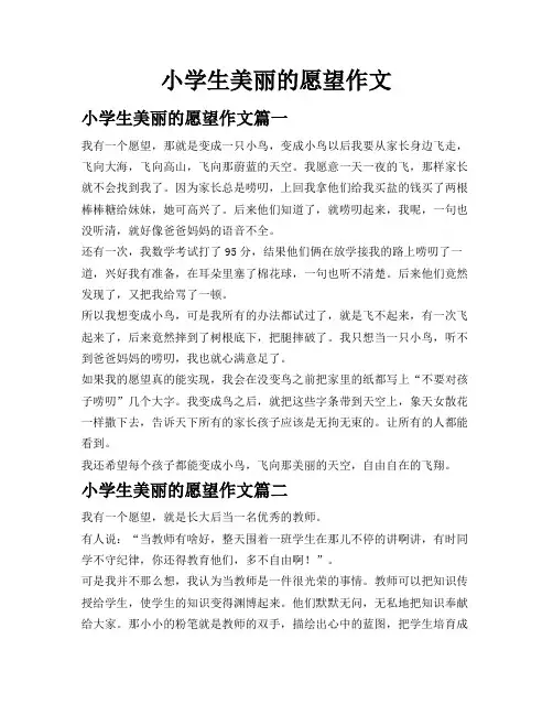 小学生美丽的愿望作文