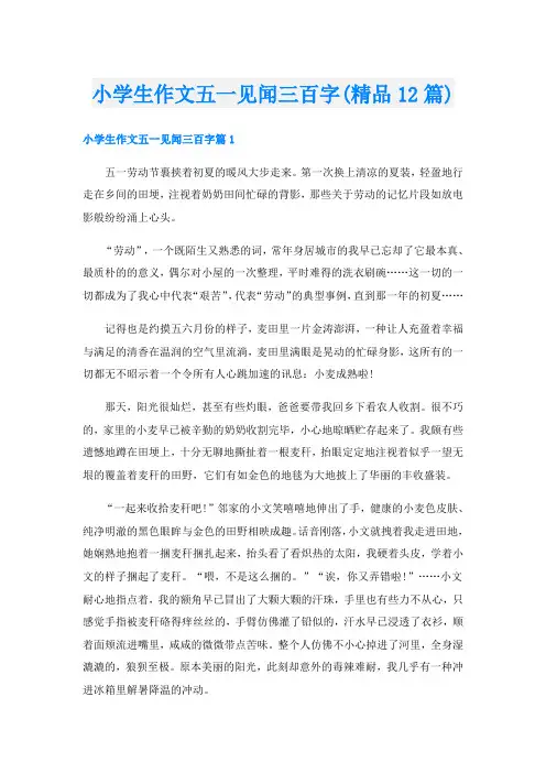 小学生作文五一见闻三百字(精品12篇)