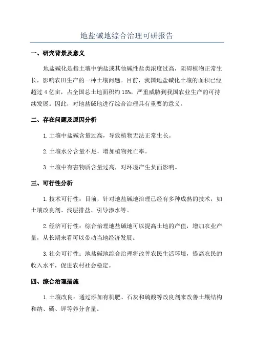 地盐碱地综合治理可研报告
