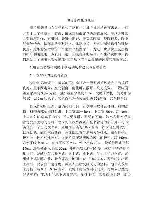 如何养好里岔黑猪