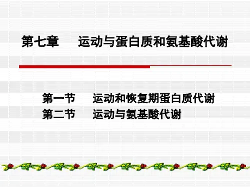 蛋白质代谢与运动