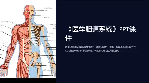 《医学胆道系统》课件