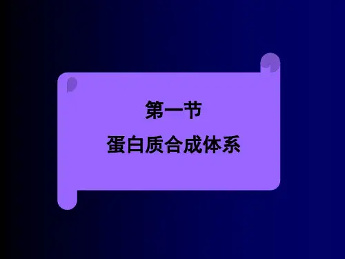 蛋白质合成体系共30页文档