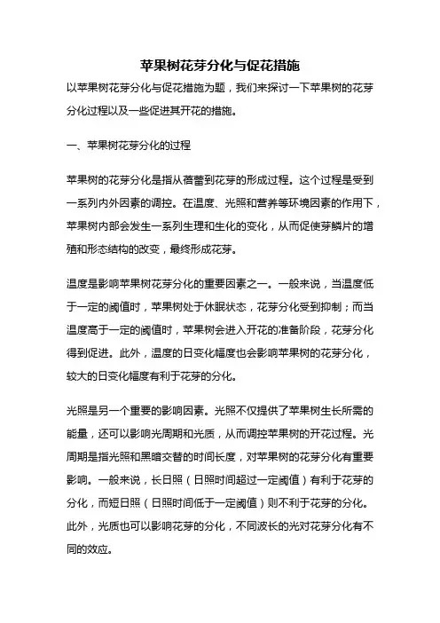 苹果树花芽分化与促花措施