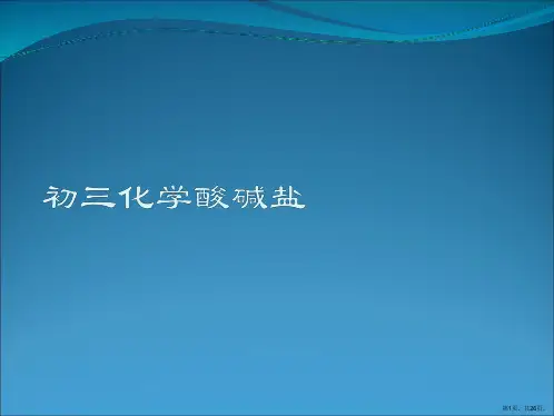 初三化学酸碱盐PPT课件