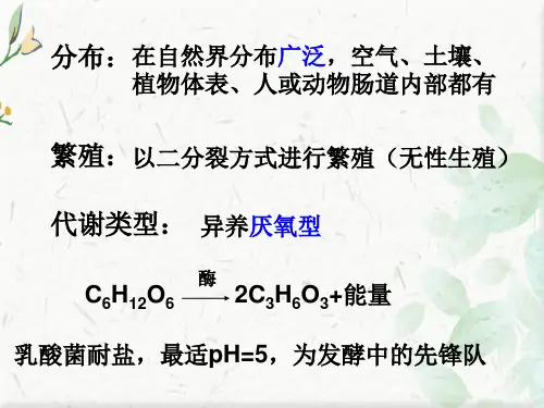 生物选修3泡菜ppt