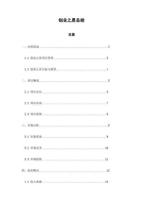 创业之星总结