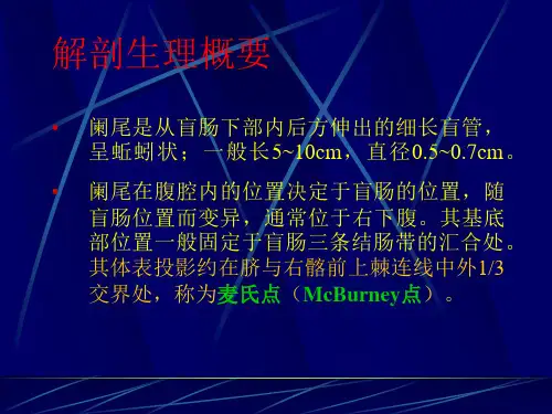 阑尾炎幻灯课件