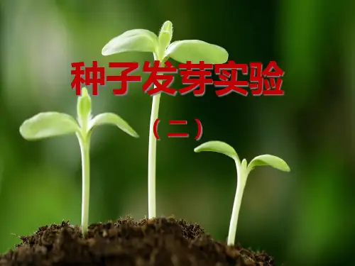 《种子发芽实验(二)》生物与环境PPT课件四
