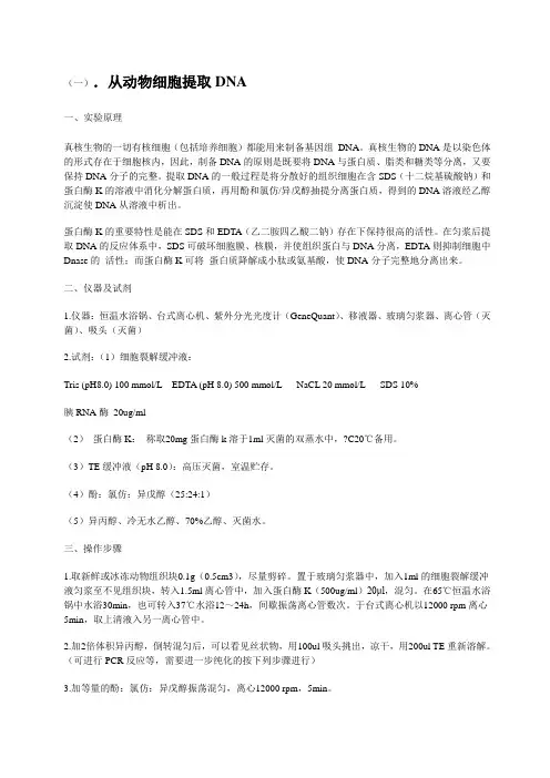 生化DNA设计性试验方案.doc