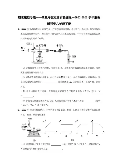 期末题型专练——质量守恒定律实验探究—2023-2024学年浙教版科学八年级下册
