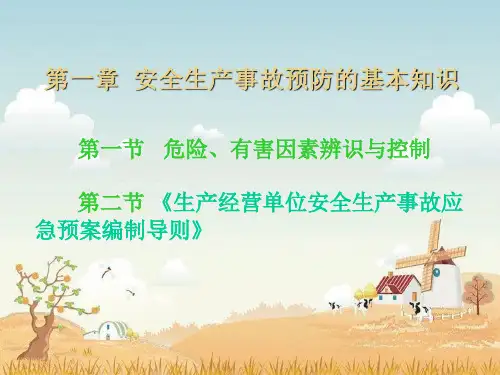 安全生产事故案例分析PPT