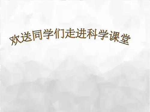 四年级下册科学课件4.1各种各样的岩石教科版(共27张PPT)(小学课件)
