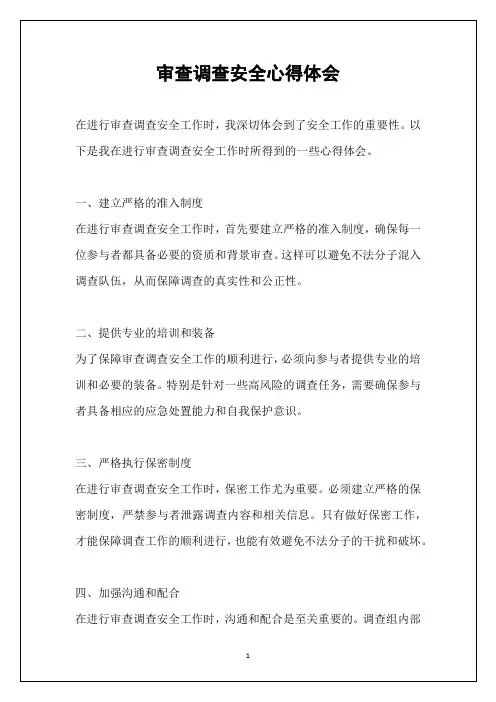 审查调查安全心得体会