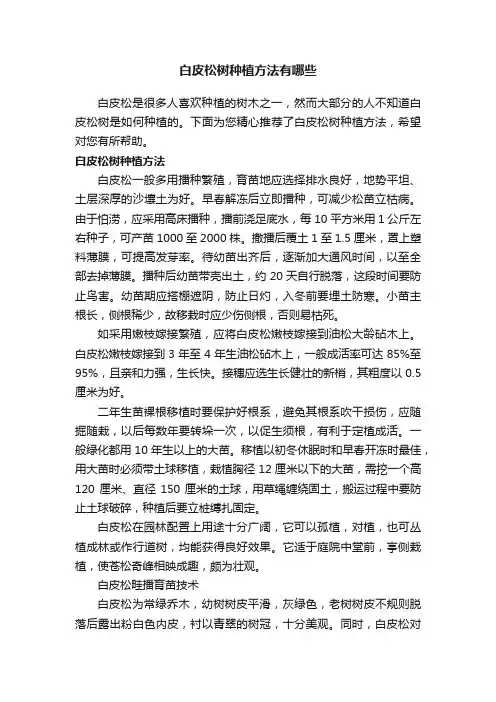 白皮松树种植方法有哪些