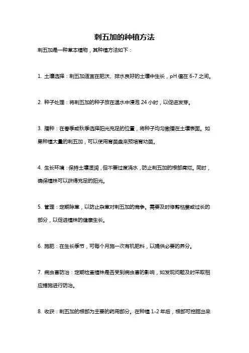 刺五加的种植方法