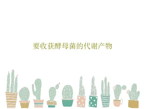 要收获酵母菌的代谢产物共29页