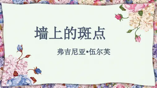 -墙上的斑点课件-(共21张PPT)