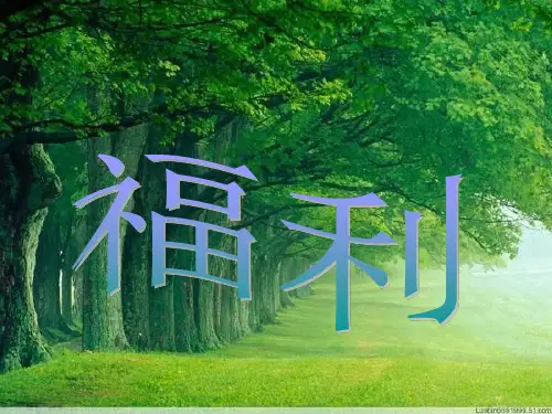 中外福利对比