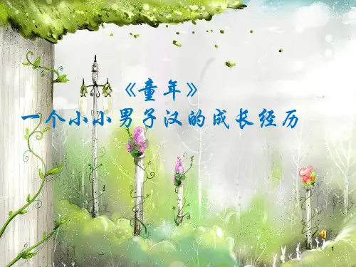《童年》高尔基 (2)ppt课件