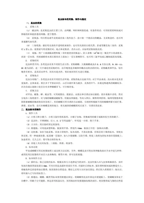 昆虫标本的采集、制作