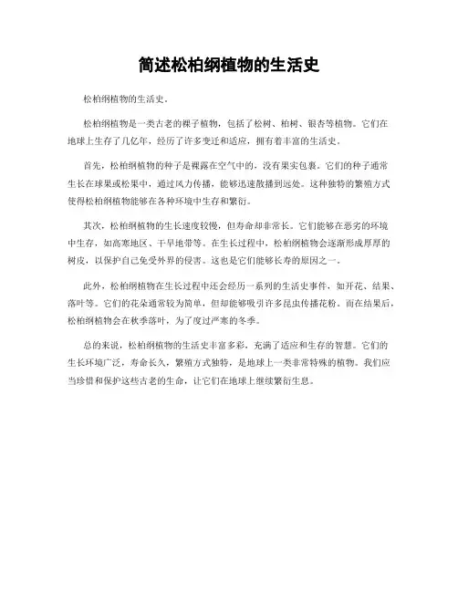 简述松柏纲植物的生活史