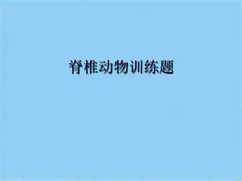 脊椎动物训练题(共11张PPT)