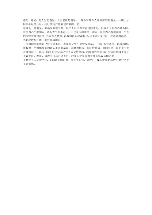 一场意外的相遇作文