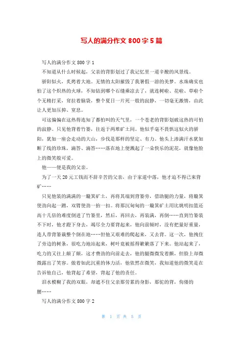 写人的满分作文800字5篇