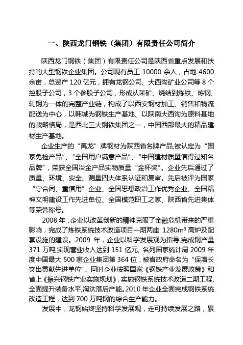 龙钢集团公司简介